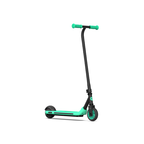 Segway Ninebot A6 Electric Kick Scooter